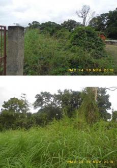 Plot of land Freeport Freeport