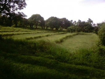 Plot of land Batangas Batangas