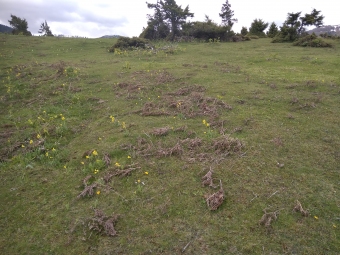 Plot of land Thessaloniki Thessaloniki