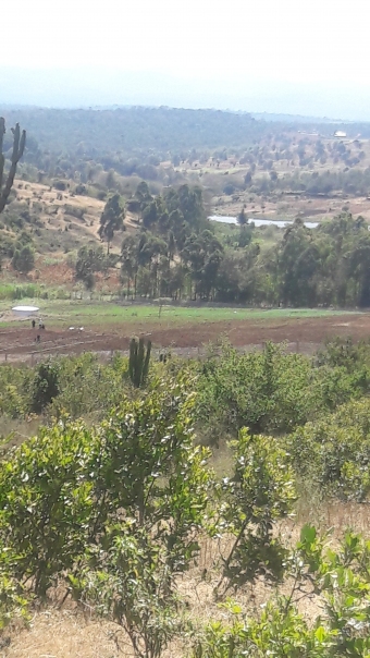 Plot of land Nyeri Nyeri