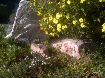 House HERMANUS CAPE TOWN Hermanus Cape Town