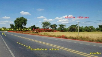 Plot of land Amnatcharoen Amnatcharoen