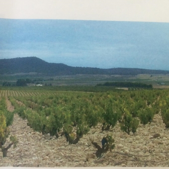 Plot of land Yecla Yecla