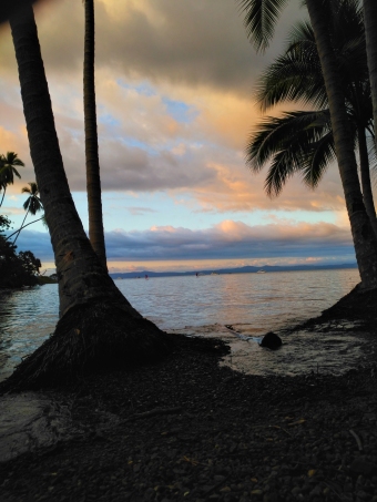 Plot of land Puerto Jimenez Puerto Jimenez