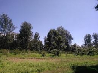 Plot of land Arusha Burka Arusha Burka