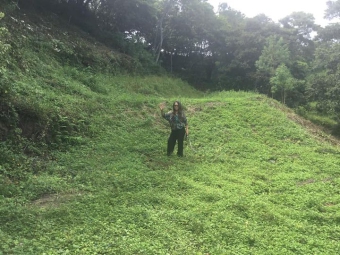 Plot of land Atenas Atenas