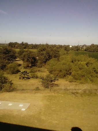 Plot of land Guasave Guasave