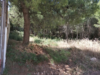 Plot of land Dionysos Dionysos