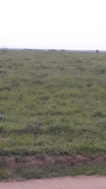 Plot of land kitengela Kitengela