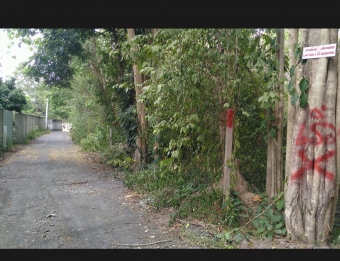 Land near  Grace Intl school Chiang Mai