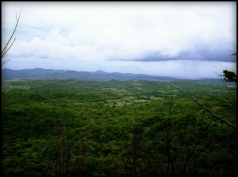 Plot of land Tamarindo Tamarindo