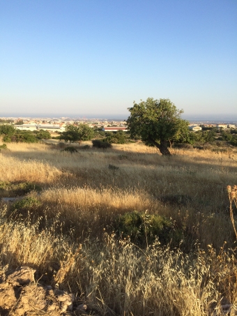 Plot of land Limassol Limassol