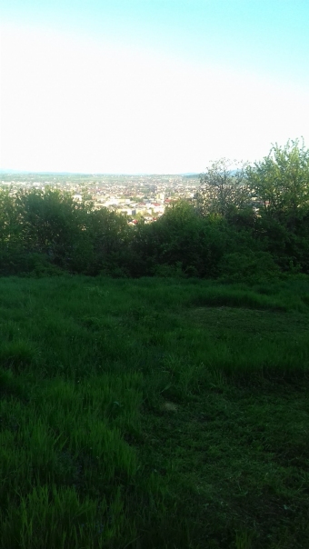 Plot of land Baia Mare Baia Mare