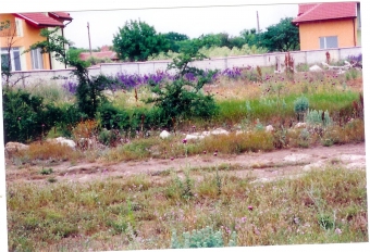 Plot of land Dobrich Dobrich