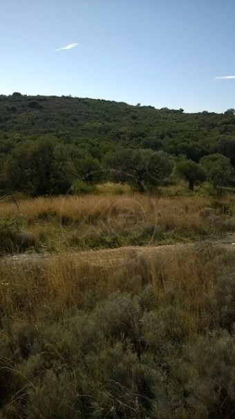 Plot of land Λακωνία, Aσωπος Λ������, A�����