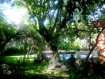 Villa Cuernavaca Cuernavaca