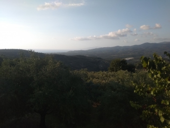 Plot of land Kyparissia Myron Kypariss�a