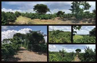 Plot of land Heredia Heredia