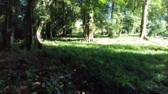 Plot of land Sarapiqui Sarapiqui