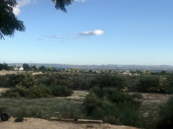 Plot of land 60.000mCrevillente Crevillente
