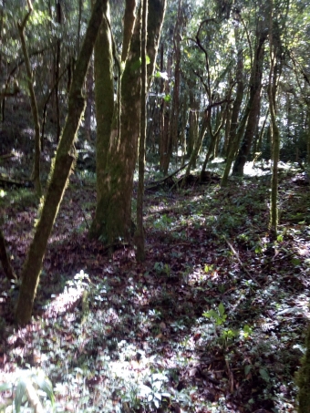 Plot of land San Jose San Jose