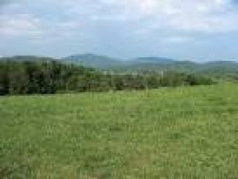 Kamulu Plots (50*100) Nairobi