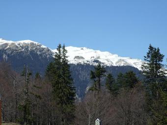 Sinaia Cota 1000 Buildable Land Sinaia