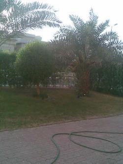 ADAN VILLA Kuwait City