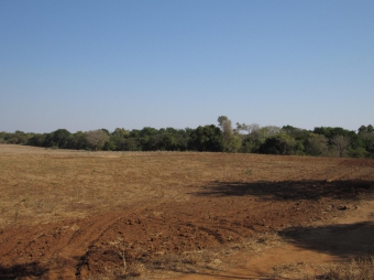 Plot of land Maputo- Moamba Maputo  Moamba