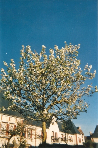 Apartment / Flat Colleville Montgomery Colleville Montgomery