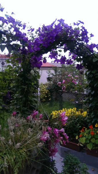 House Kastav Kastav
