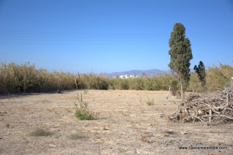 Plot of land Naxos Naxos