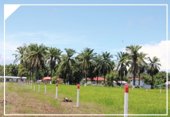 Plot of land Parrita Parrita
