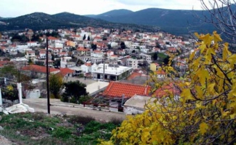 House Vilia Vilia