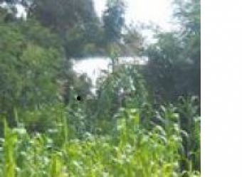 Plot of land syokimau Syokimau