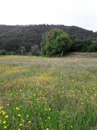 Plot of land Braga Braga