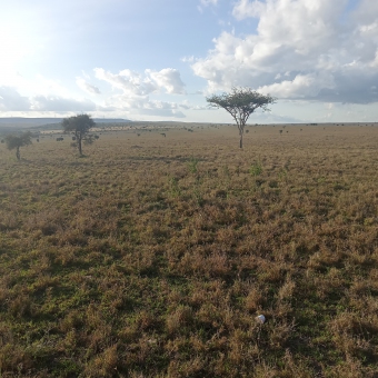 Plot of land Kajiado Kajiado