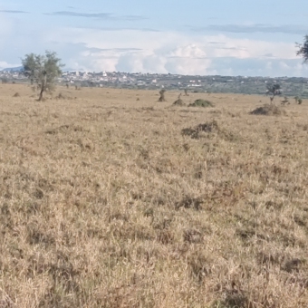 Plot of land Kajiado Kajiado