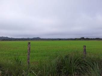 Plot of land Santiago de Veraguas Santiago De Veraguas