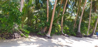 Plot of land Surigao Surigao