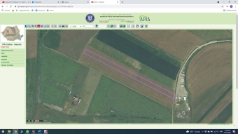 Plot of land Arad Arad