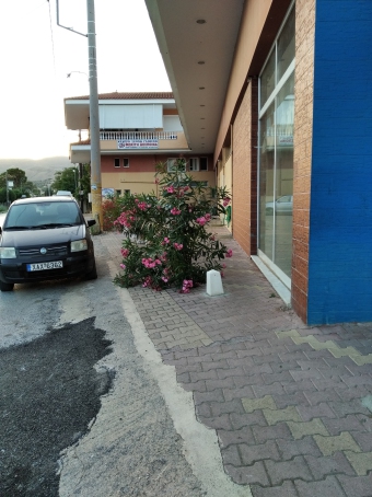 Business Ενια Ε���