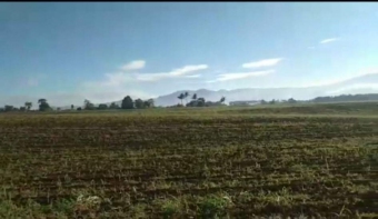 Farm Malaybalay Malaybalay
