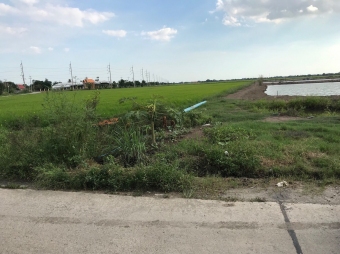 Plot of land Chachoengsao Chachoengsao