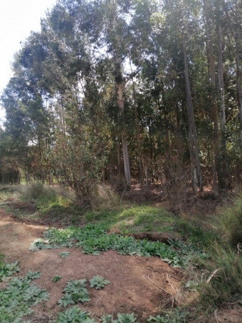Plot of land Nyahururu Nyahururu