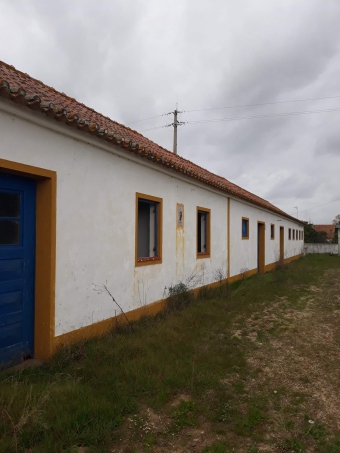 Farm Courela do Pinhal Couço Coruche Courela Do Pinhal Cou�o Coruche