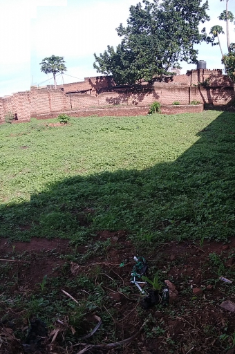 Plot of land kamuli Kamuli