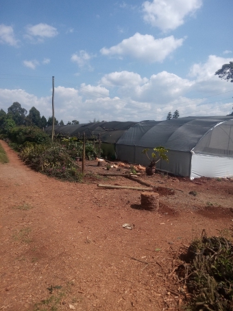 Plot of land Nairobi Red Hill Nairobi Red Hill