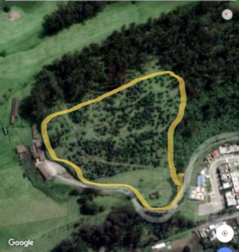 Plot of land Quito Quito