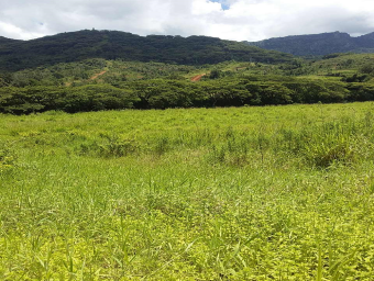 Plot of land Nadi Nadi